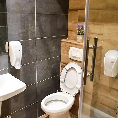 Stari Slon Guest house *